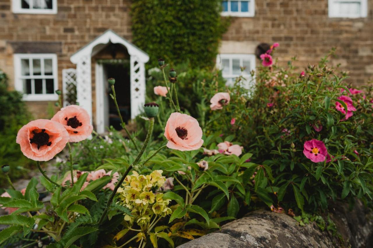 Swallow Cottage, Casa vacanze
